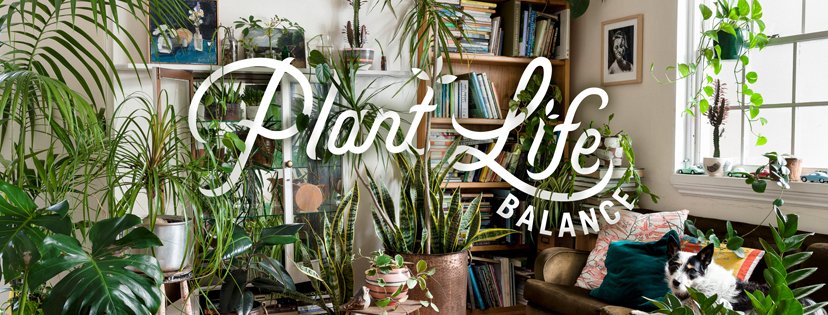 Forget work-life balance – nursery campaign promotes plant-life balance 