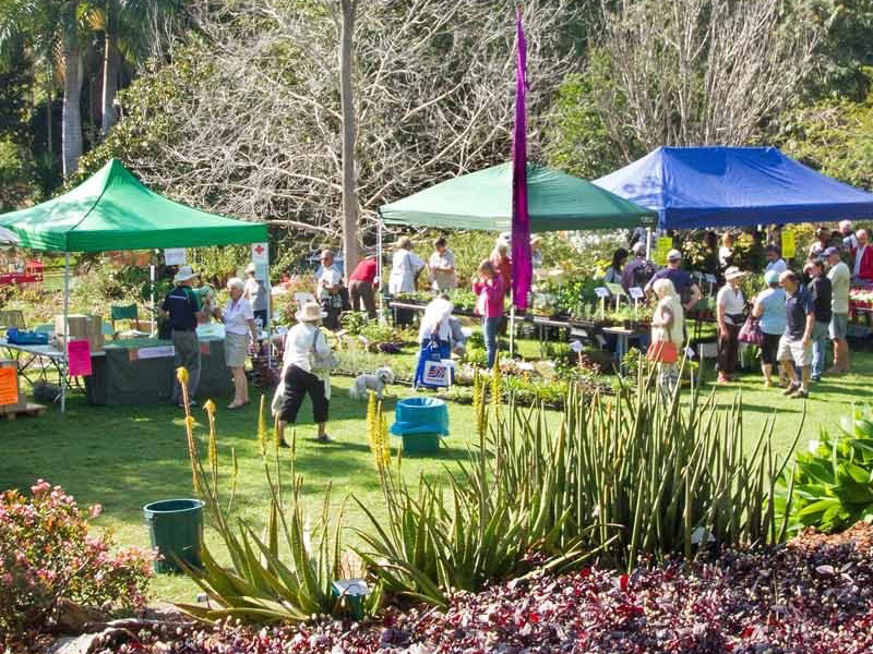 Noosa Botanic Gardens Plant Fair