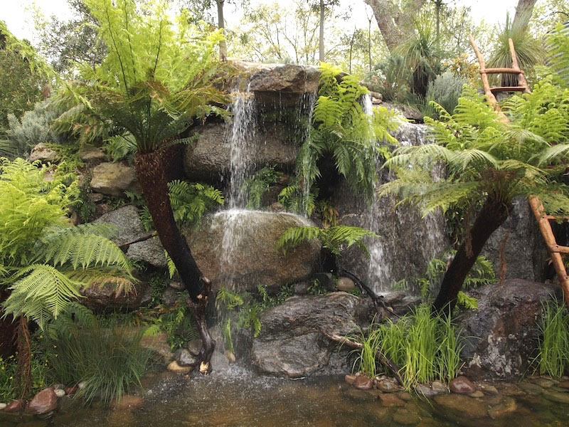 Phillip Johnson Webinar