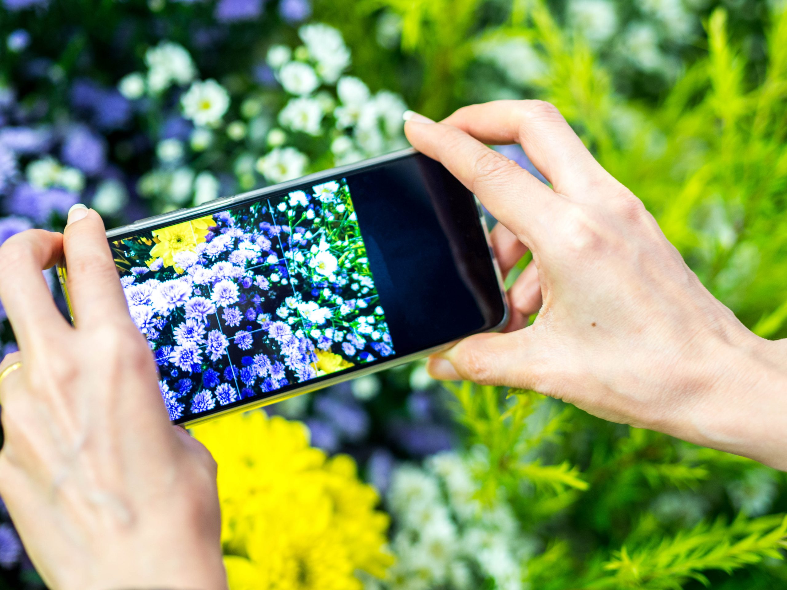 HOW TO TAKE GREAT PHONE PHOTOS – HMAA Webinar