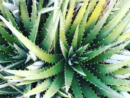 Joy Harland Photography Competition 2021