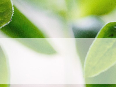 Time for Leadership Change and Transition at Greenlife Industry Australia