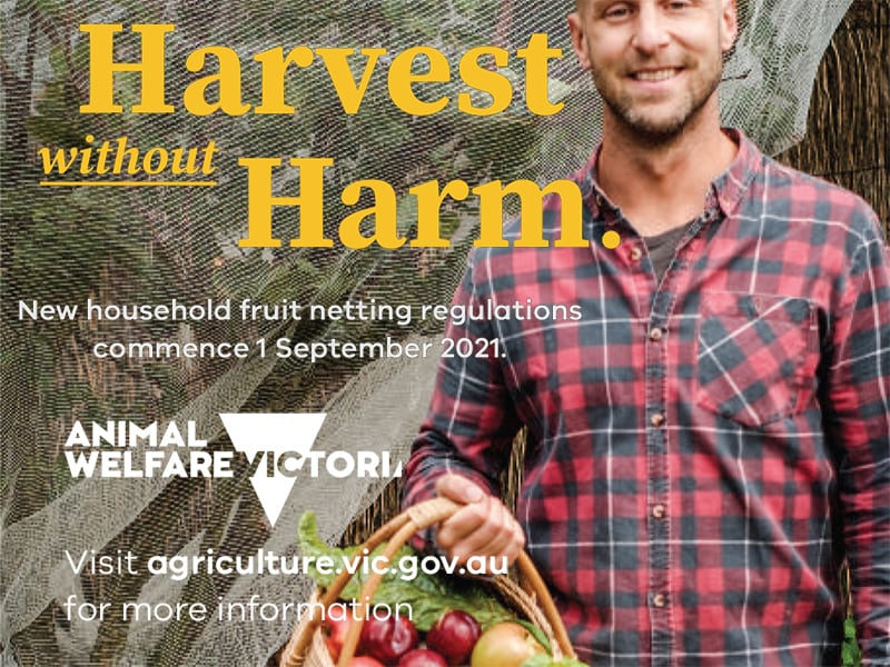 Advice for Victorian household gardeners: ‘Harvest without Harm’