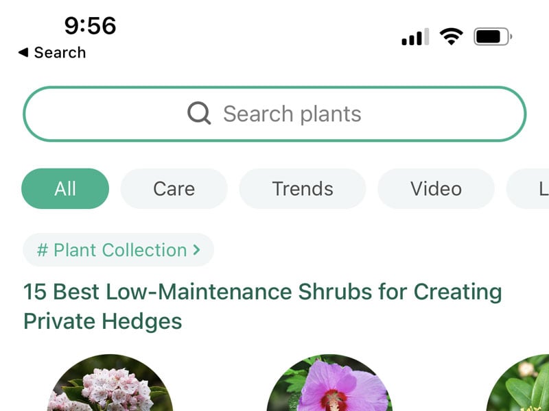 Introducing PictureThis – A botanist in your pocket!