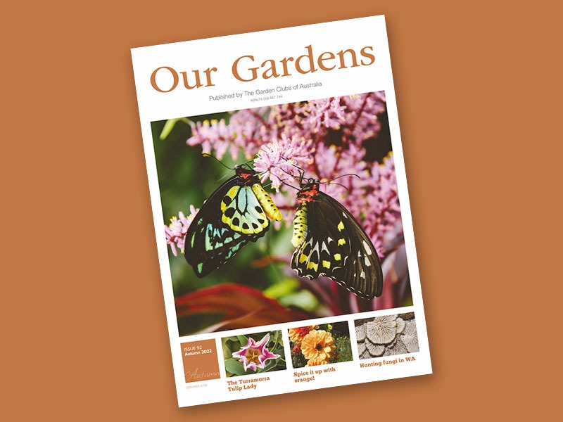 Our Gardens out now