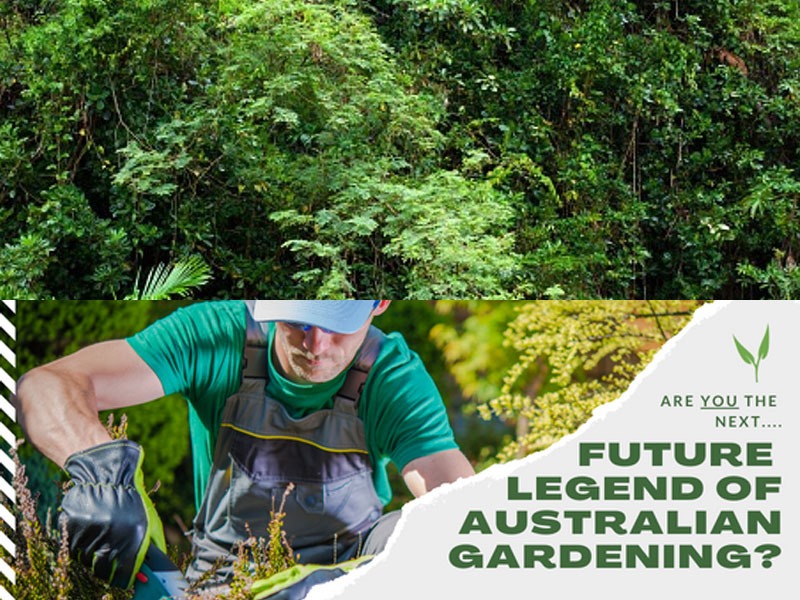 Nationwide Competition: Future Legends of Australian Gardening