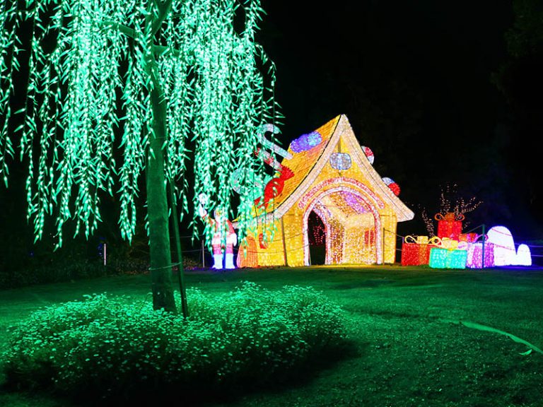 Media Release Hunter Galley Gardens Christmas lights is back, bigger