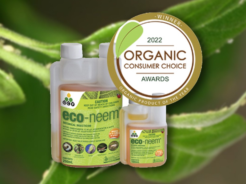 Organic product of the year