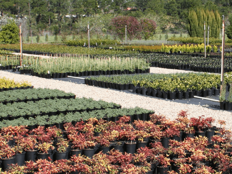 New website: PBR and intellectual property information