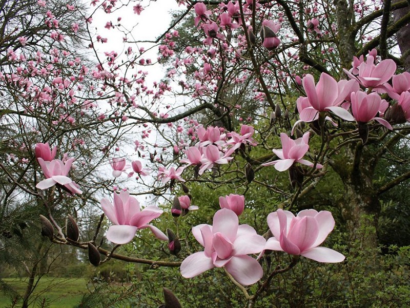 Voting is Open! Joy Harland Photography Competition 2023