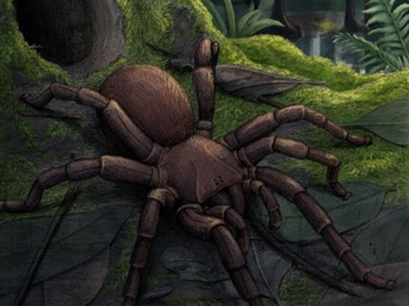 Media Release: Large Fossil Spider found in Australia