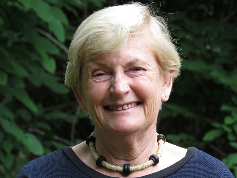 New executive committee heads up HMAA