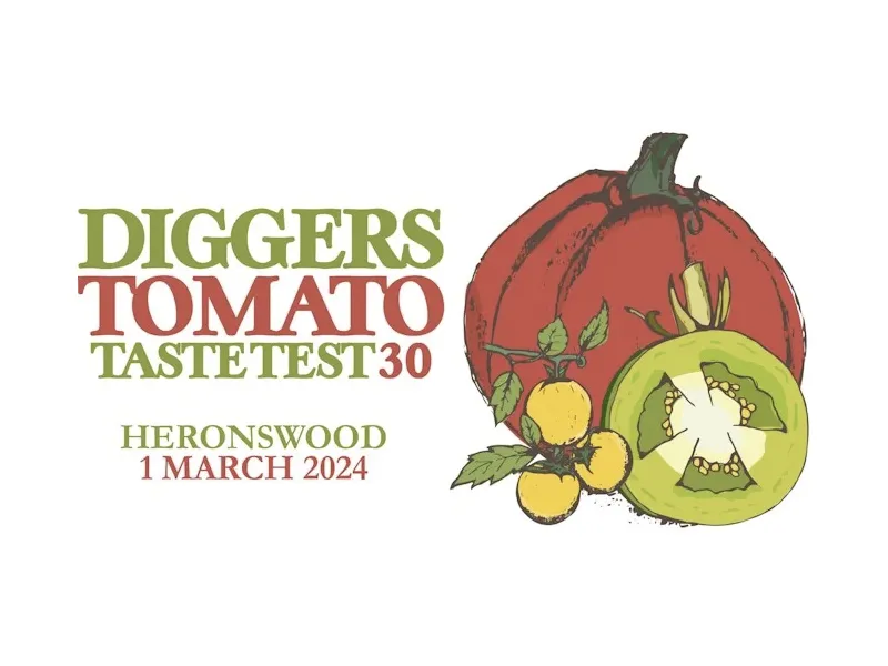 Diggers Tomato Taste Test
