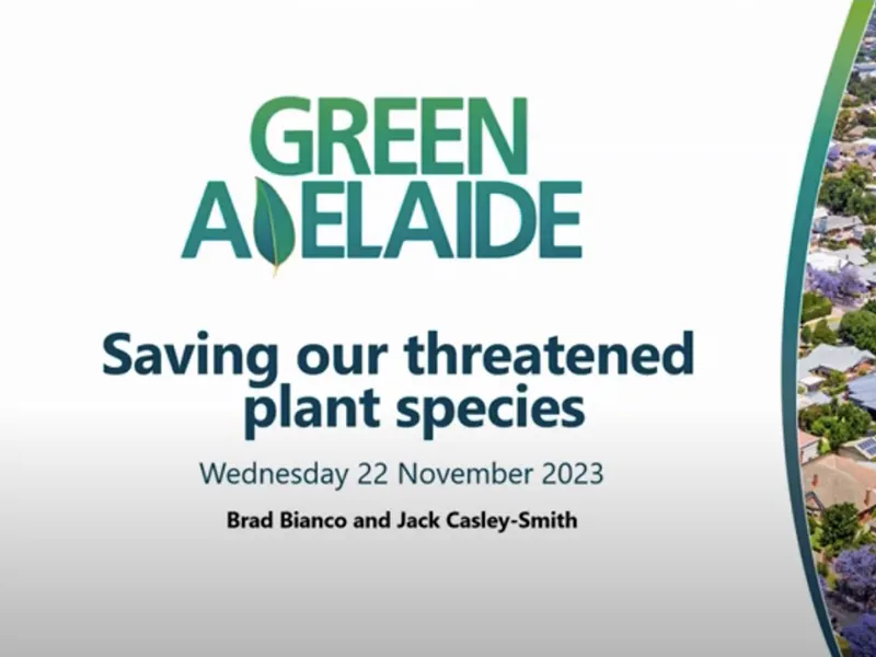 YouTube: Webinar – Saving Our Threatened Plant Species: Green Adelaide