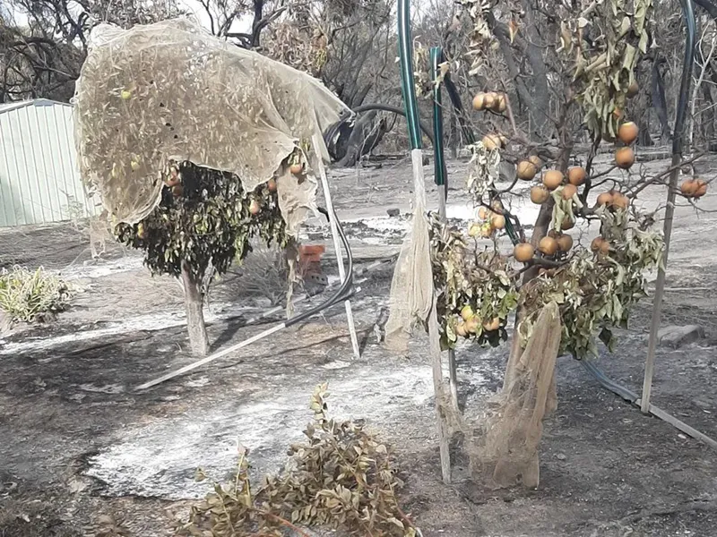 Denis Crawford’s home survives Victorian fires