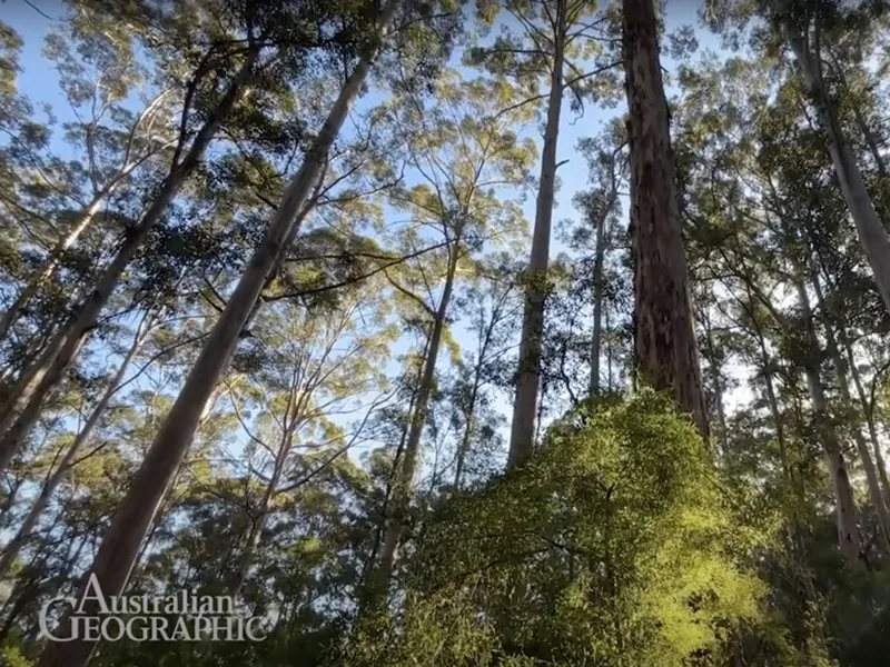 YouTube: Australian Geographic