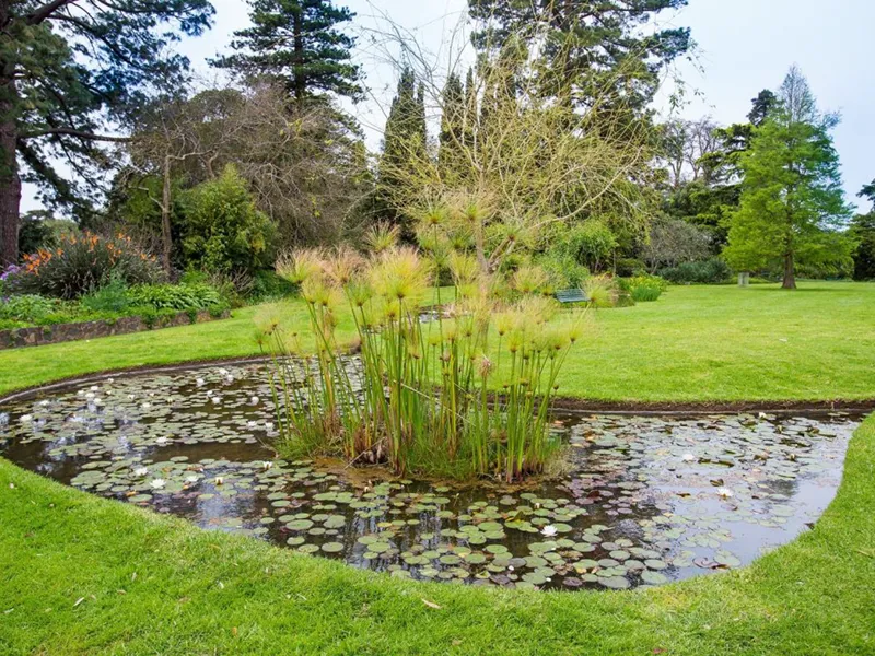 Free Burnley Gardens walks to celebrate Botanic Gardens Day