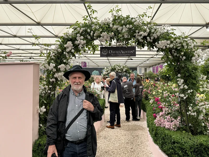 Postcard from Chelsea: John Mason