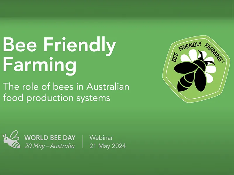 YouTube Webinar: Bee Friendly Farming: The role of bees in Australian food production systems