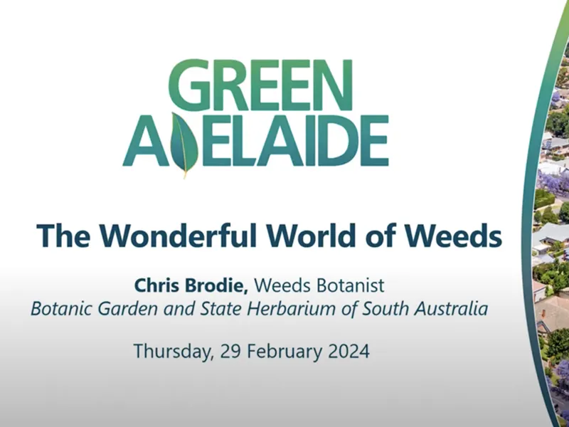 YouTube: The Wonderful World of Weeds: Green Adelaide