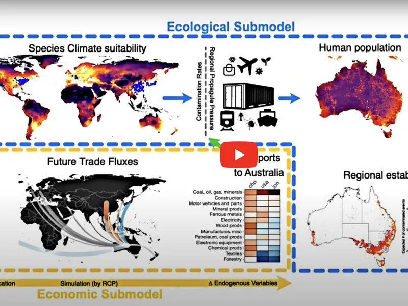 YouTube: CEBRAnar #19: Forecasting trade and biosecurity risk under climate change