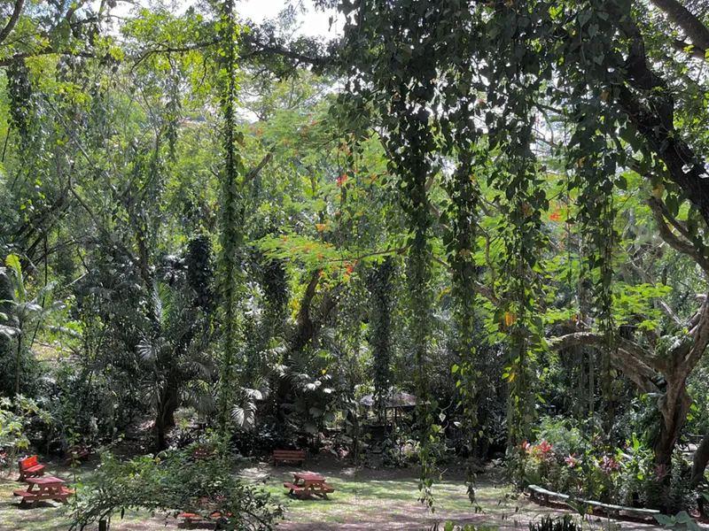 Garden of the Sleeping Giant, Naboutini, Fiji: Atlas Obscura