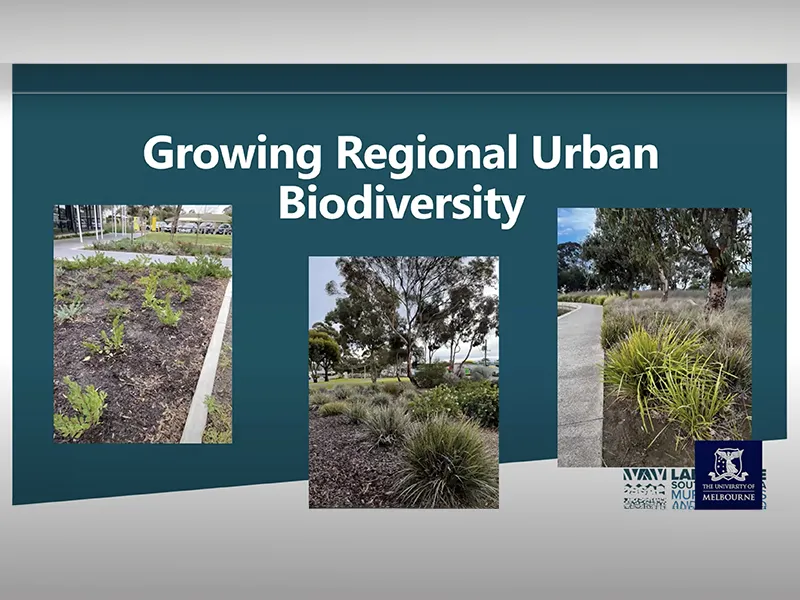 YouTube: Woody meadows as a new approach to low maintenance landscapes