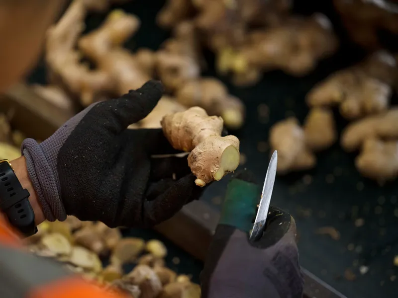 Opportunity: Request for Quotation: AgriFutures Ginger Program Literature Review