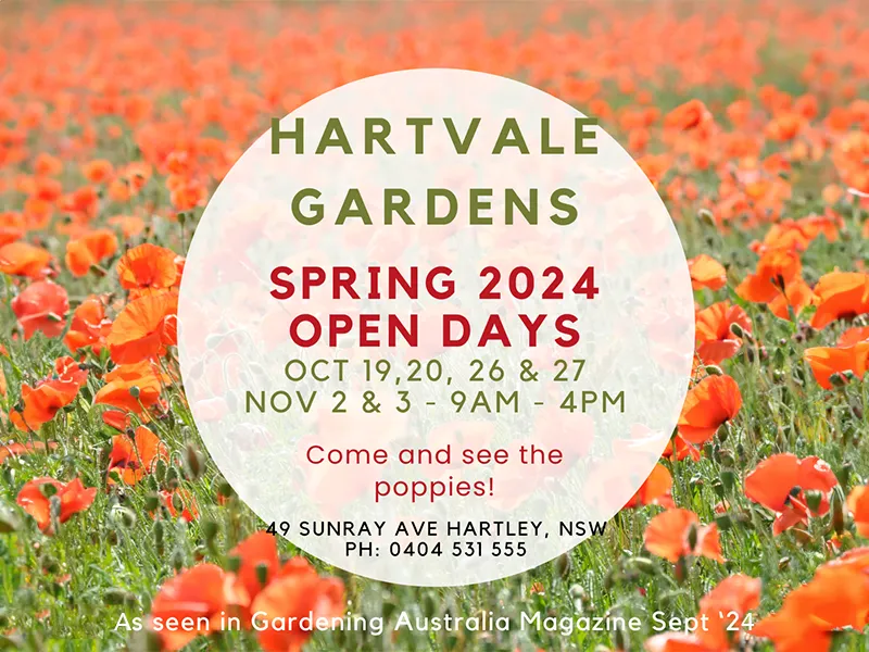 Hartvale Gardens Open Day