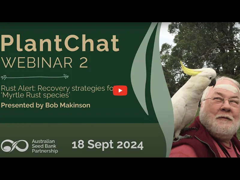 YouTube Video: PlantChat Webinar 2: Rust Alert – Recovery strategies for ‘Myrtle Rust species’