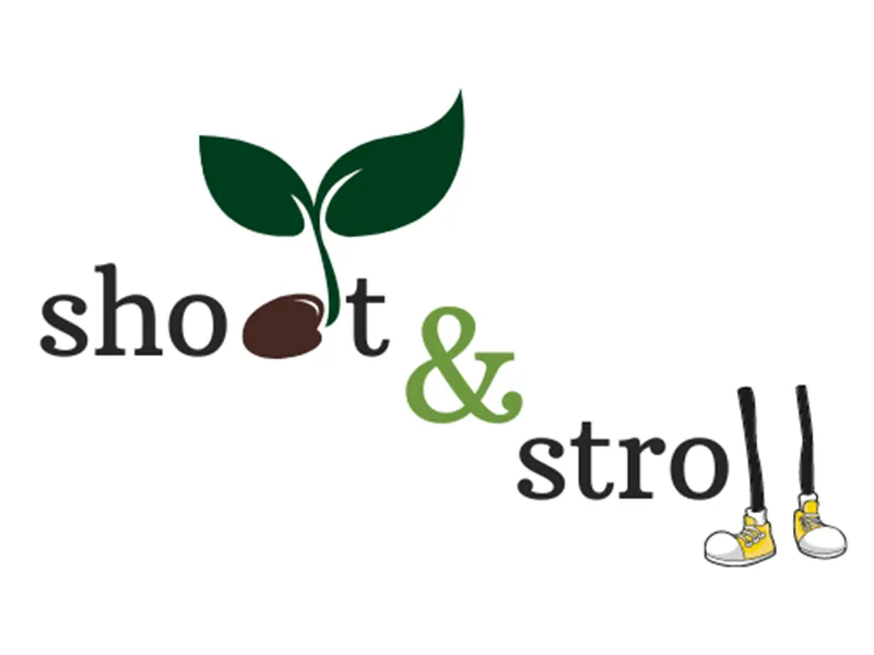 Shoot & Stroll: Video and social media content