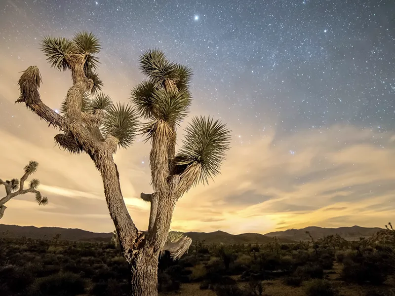 Delicate Ecosystems You Might Not Be Able To Visit Soon: The Travel