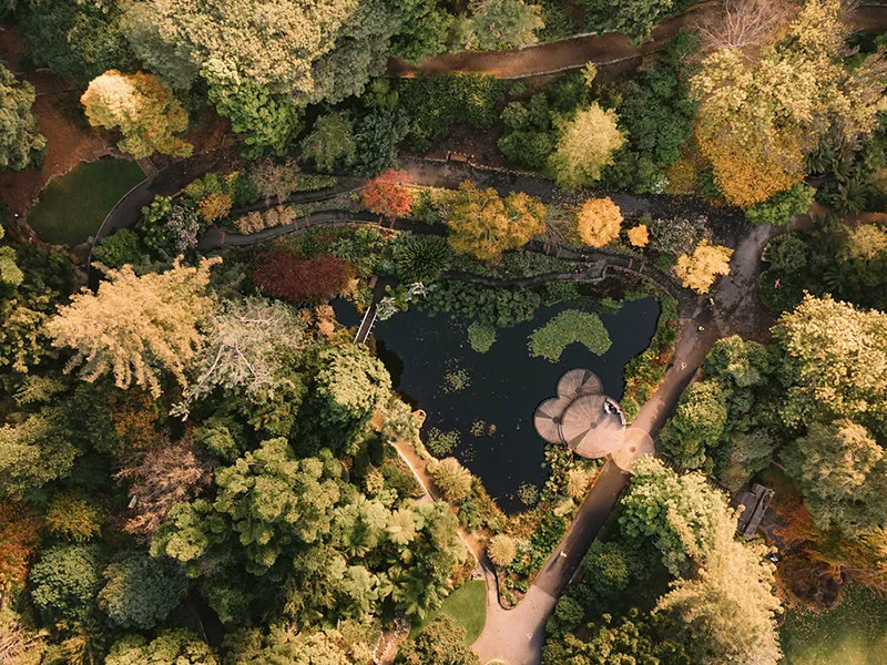 Senior Curator (Horticulture and Living Collections) Royal Tasmanian Botanical Gardens