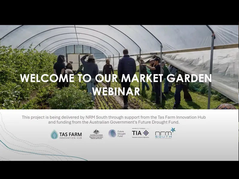 Market Garden Soil Health Webinar