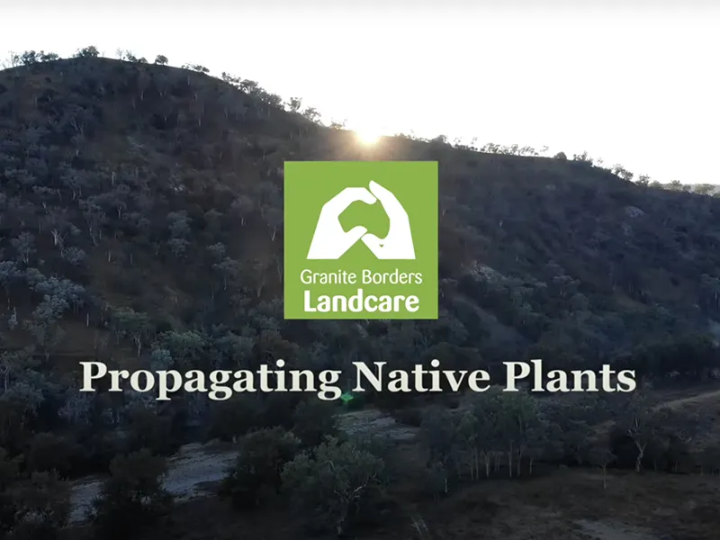 YouTube: How to Propagate Australian Native Plants