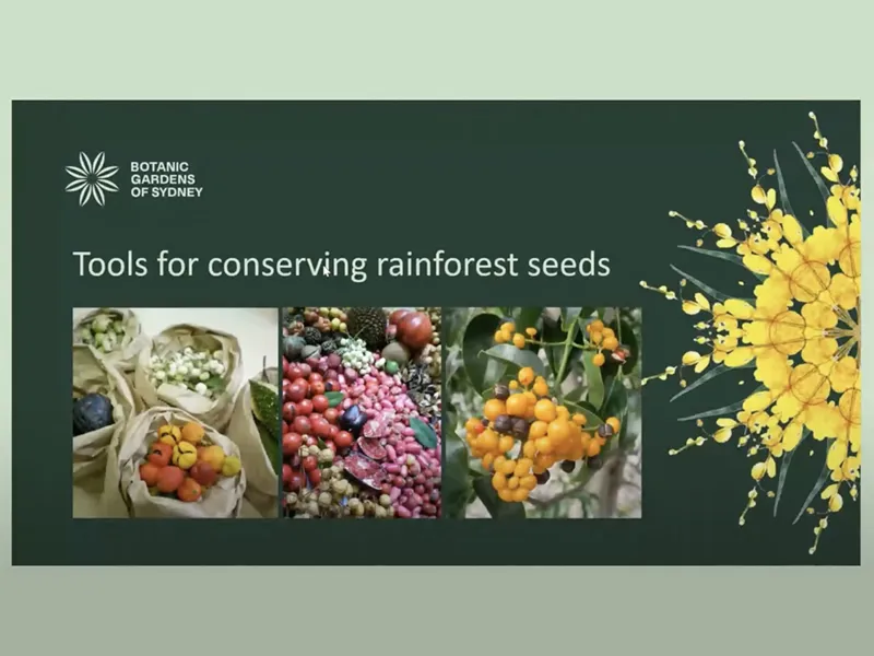 ISTA-ISSS Webinar on Seed Supply and Storage with a Focus on Tropical Tree Species