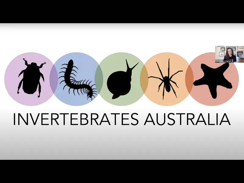 YouTube: Gardens Need Bugs: Help your backyard bloom without pesticides