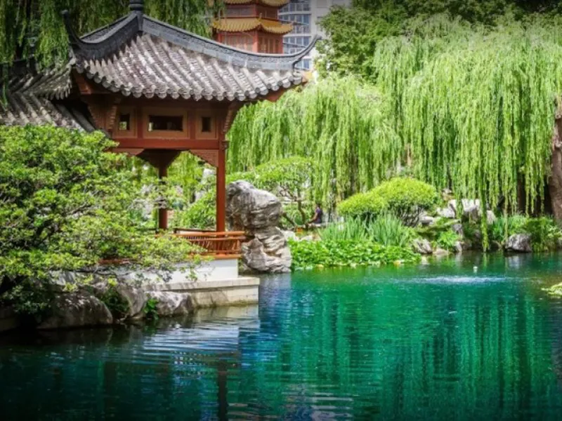 RESCHEDULED NEW DATE! Chinese Garden of Friendship, Darling Harbour.