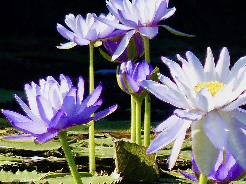 Entries for the Joy Harland Photography Competition 2025