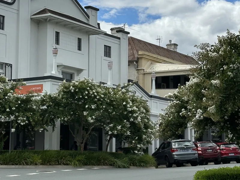 Postcard of crepe myrtles