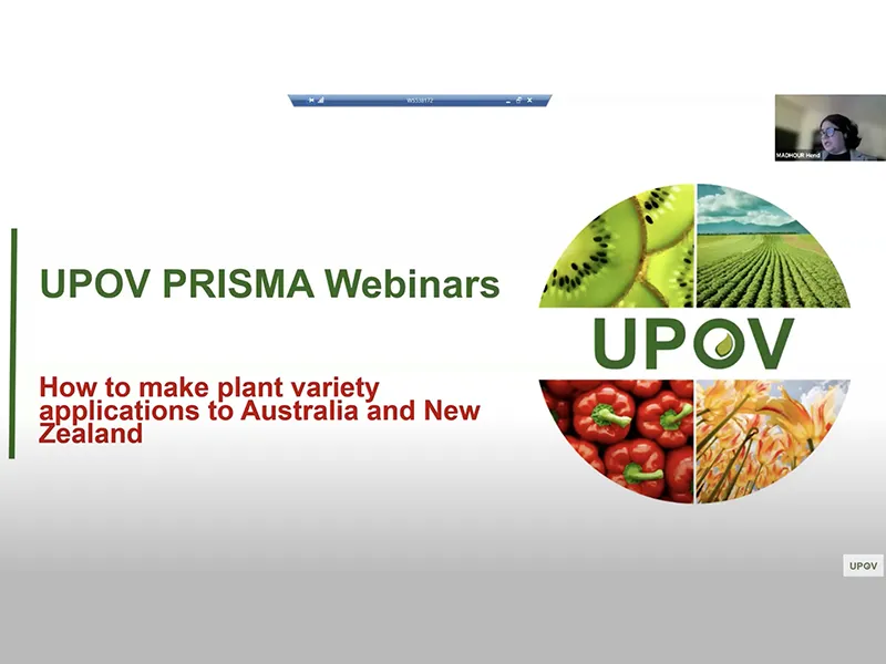 UPOV PRISMA Webinar