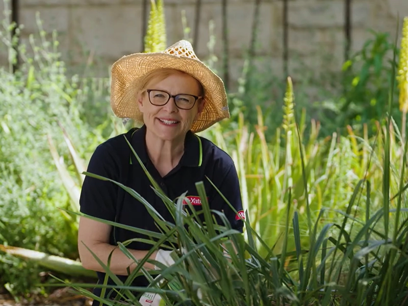 Watch it now! FREE WEBINAR: Behind the scenes