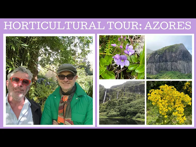 Horticultural tour: The Azores!