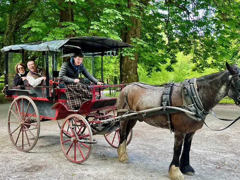 Postcard from West Ireland