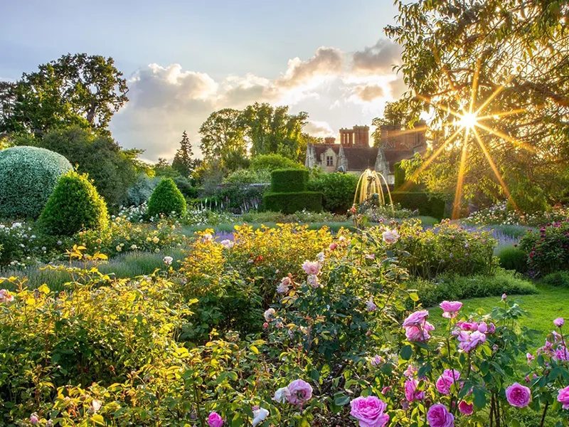 Beautiful rose gardens to visit and see the nation’s favourite flower in bloom (UK)
