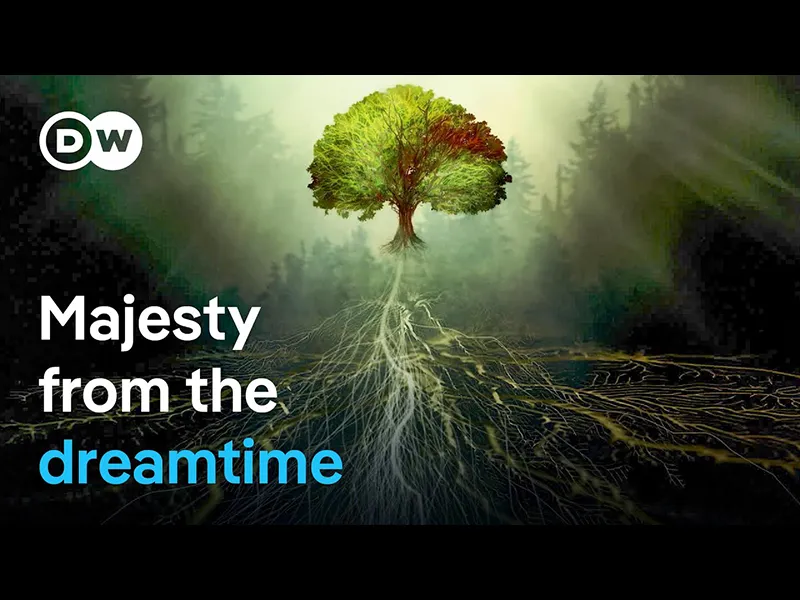 Australia’s king eucalyptus | DW Documentary