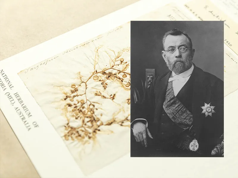 Royal Botanic Gardens Victoria hosts free talk celebrating 200th anniversary of Baron Ferdinand von Mueller’s birth