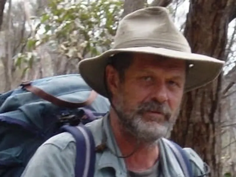 Wild Country Garden Mosaics and Garden Design webinar