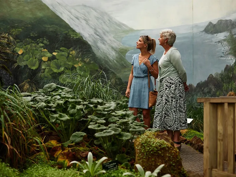 Sub-Antarctic Plant House – Hobart, Australia