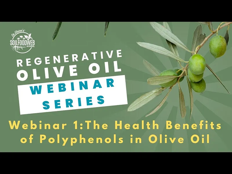 The Health Benefits of Polyphenols in Olive Oil